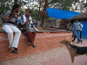 The best-fed dogs we saw were near the food court inside Shilparamam.