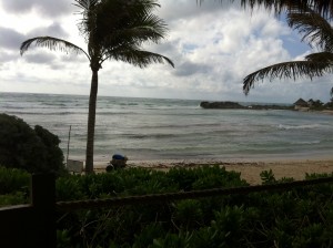 Beach view from the patio seating at El Pez's restaurant