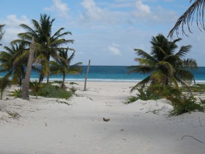 View from outside Rene's shack