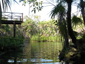 Cenote Cristal - High Dive Platform