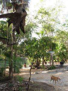 Cenote Cristal - Entrance