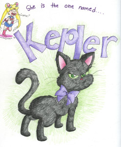 kepler-by-guy-maly