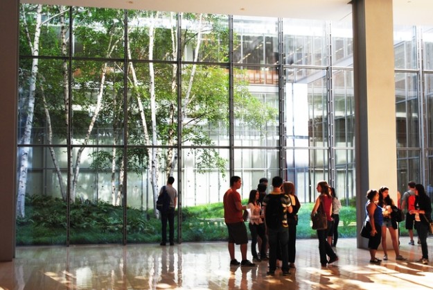 New York Times building courtyard garden