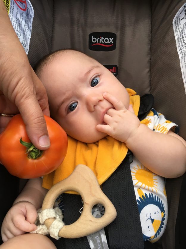 Myron sucking his fingers in a devil-horns symbol. Also a tomato.