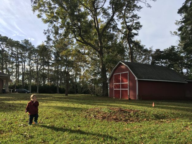 Myron walking through a field, with a barn to the side