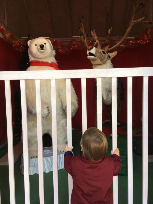 Myron staring at animatronic singing animals